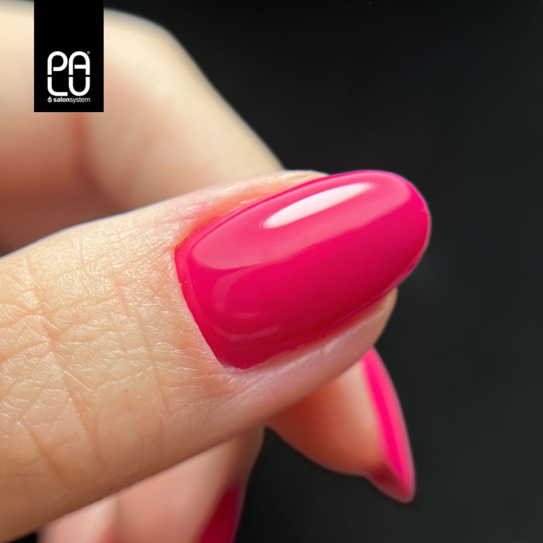 PALU Vernis Hybride warsaw P10 -11 g