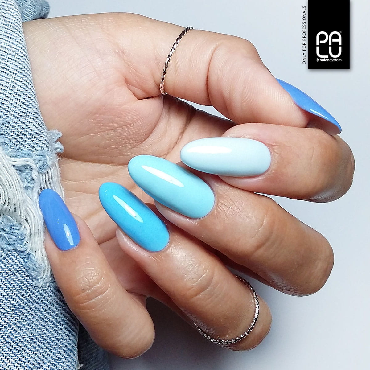 PALU Vernis Hybride moscow BL2 -11 g
