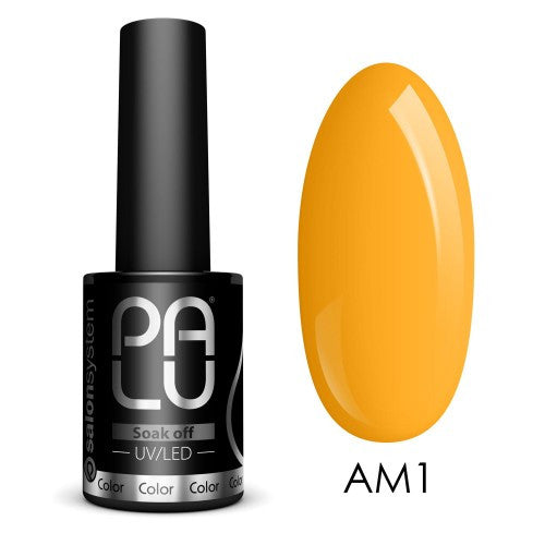 PALU - Vernis Hybride Amsterdam AM1 - 11g