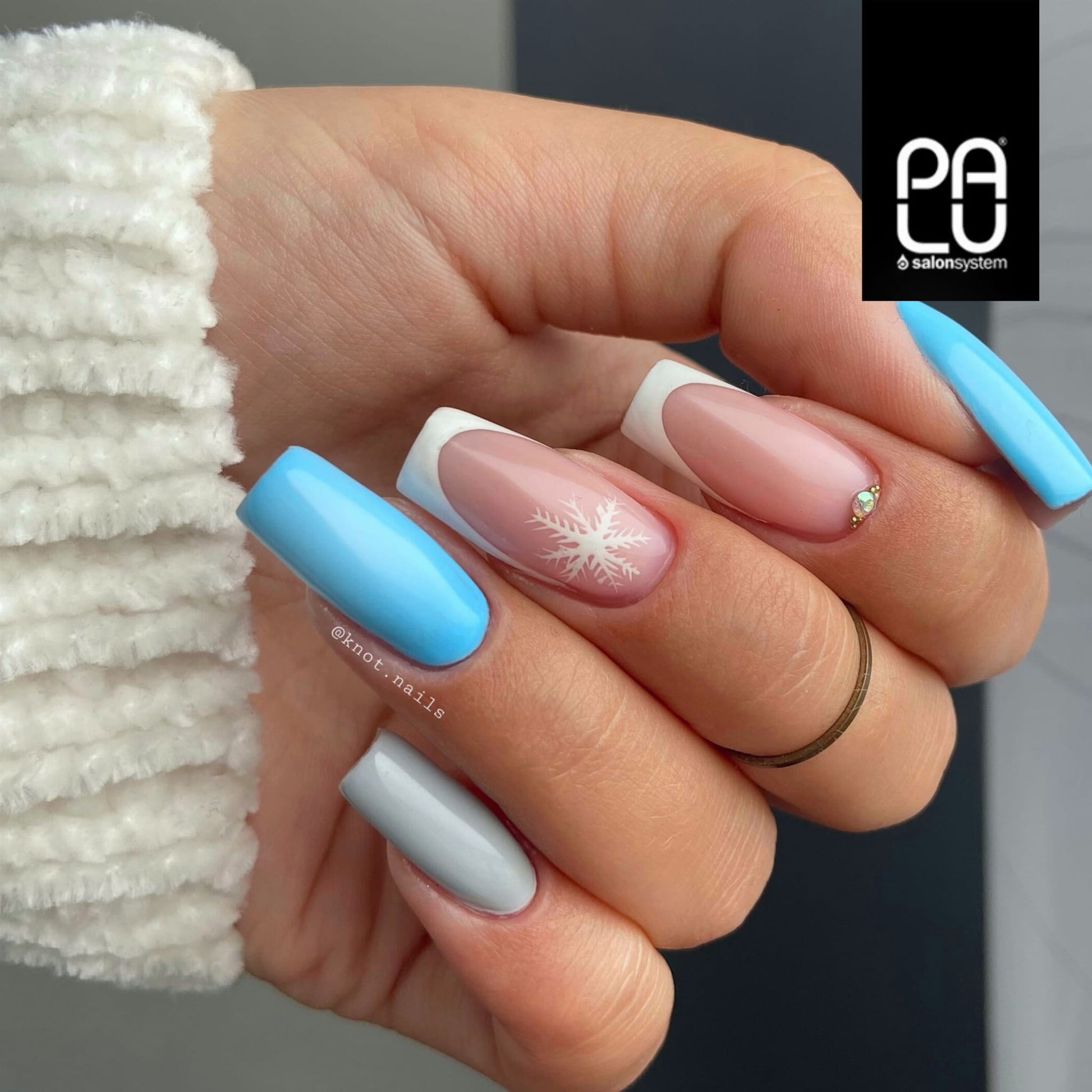 PALU Vernis Hybride moscow BL2 -11 g