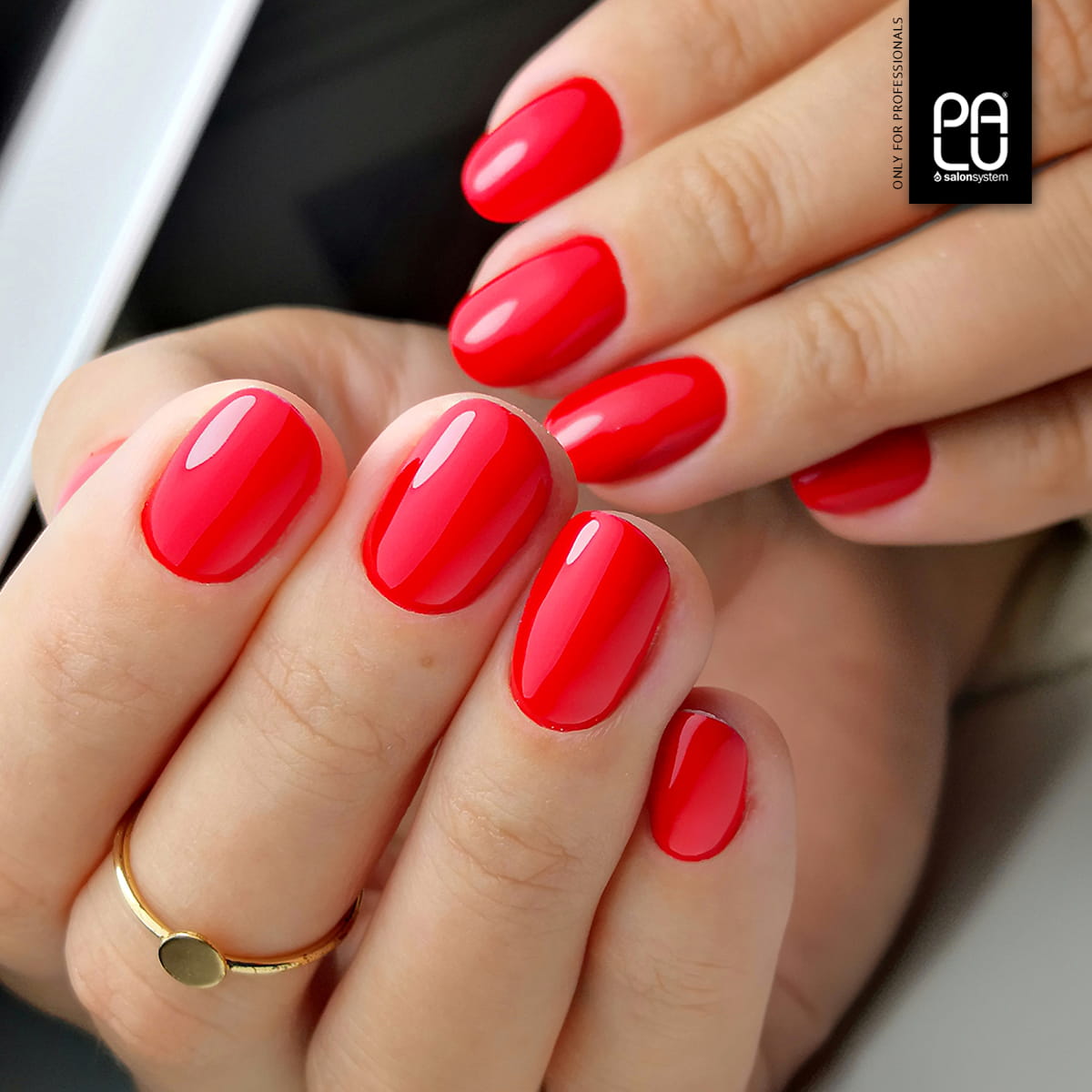 PALU - Vernis Hybride Amsterdam AM4 - 11g