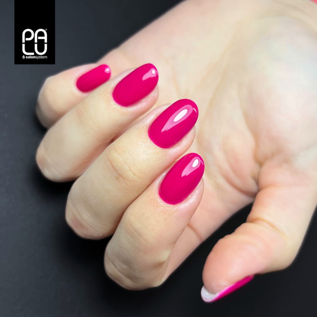 Vernis hybride PALU Warsow P5/11g