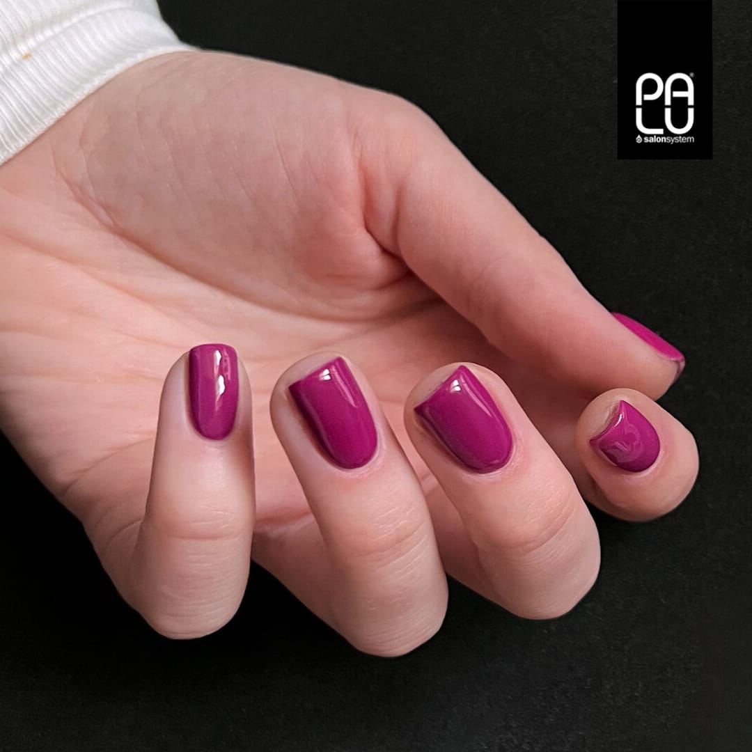 PALU Vernis Hybride warsaw P8 -11 g