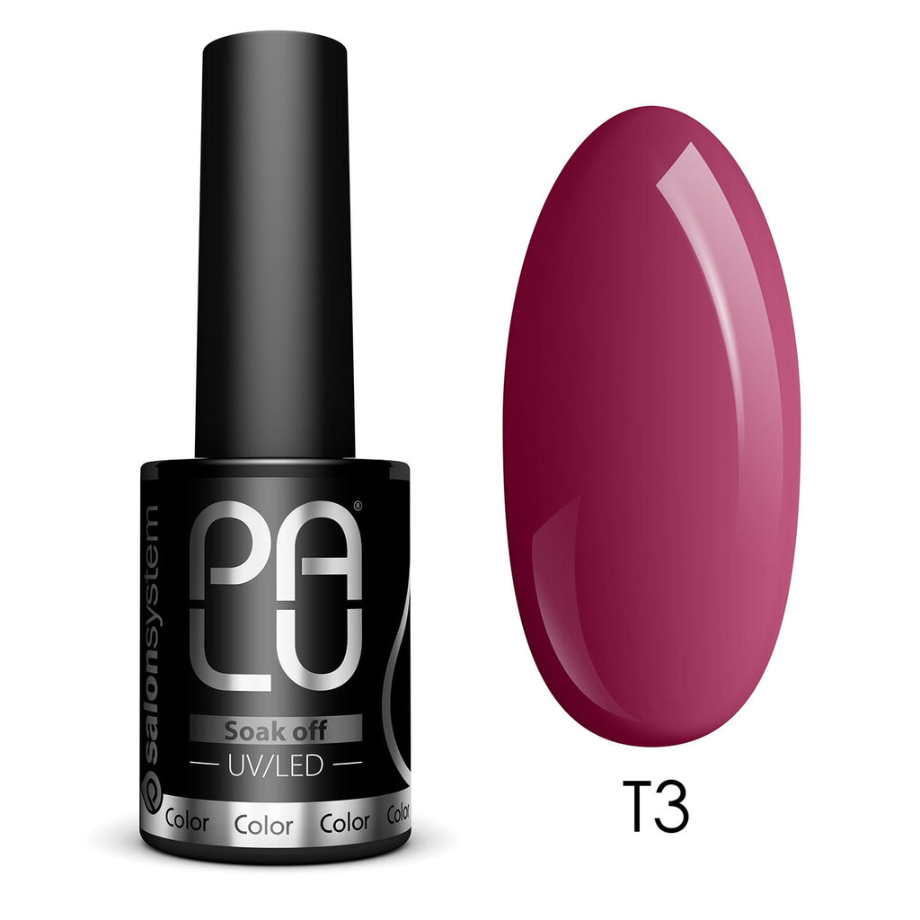 PALU Vernis Hybride Fall In Toronto T3 11 g