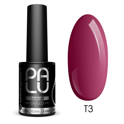 PALU Vernis Hybride Fall In Toronto T3 11 g