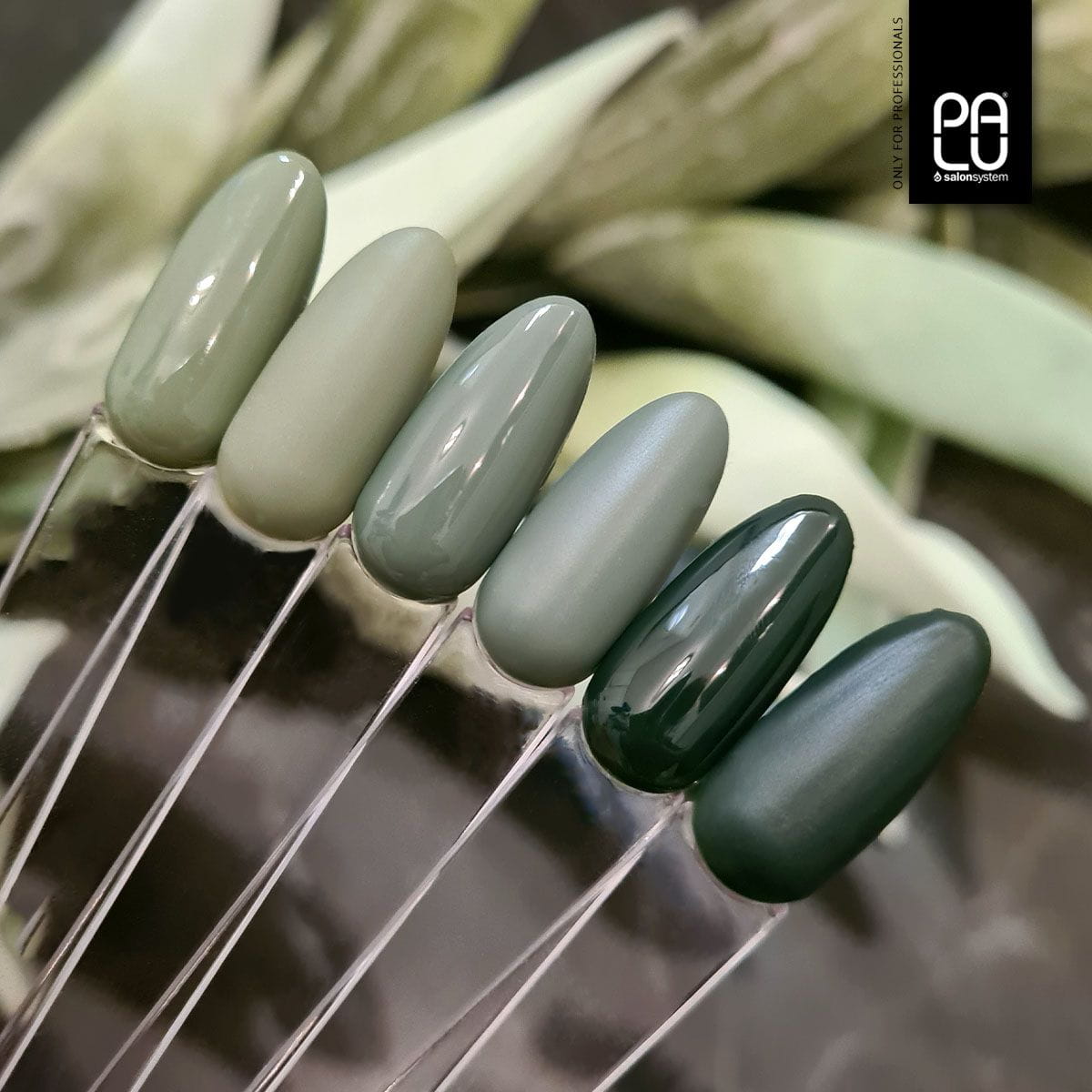 PALU Vernis Hybride Fall In Toronto T4 11 g