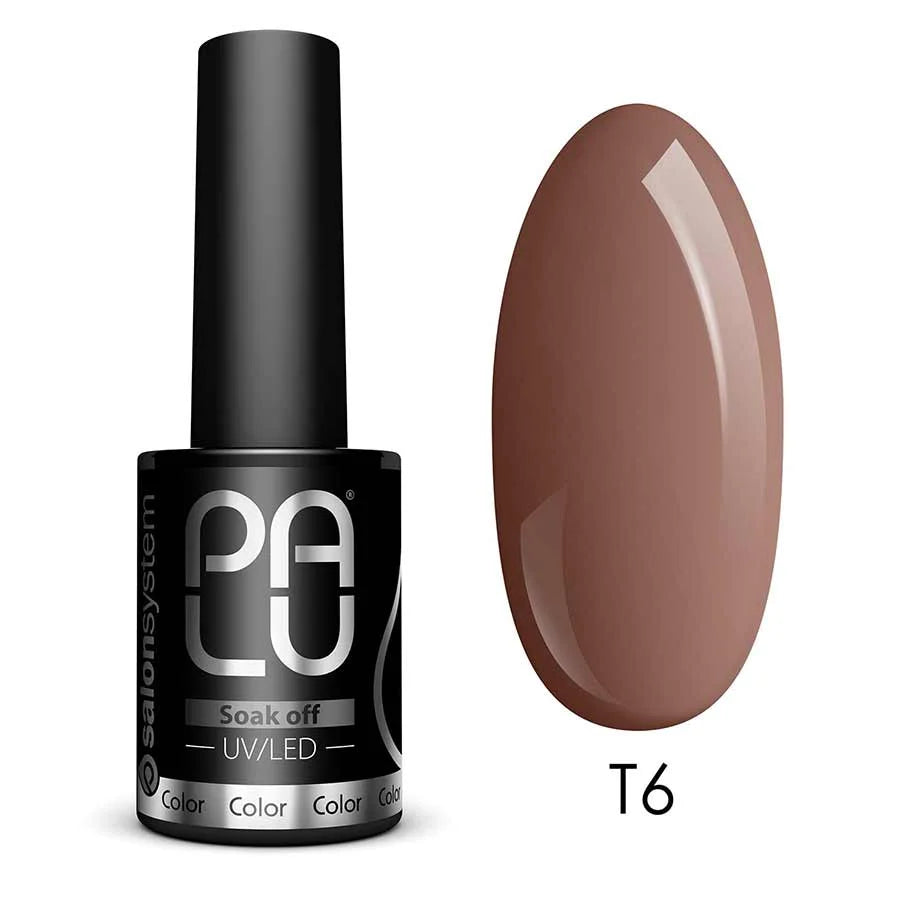 PALU Vernis Hybride Fall In Toronto T6 11 g