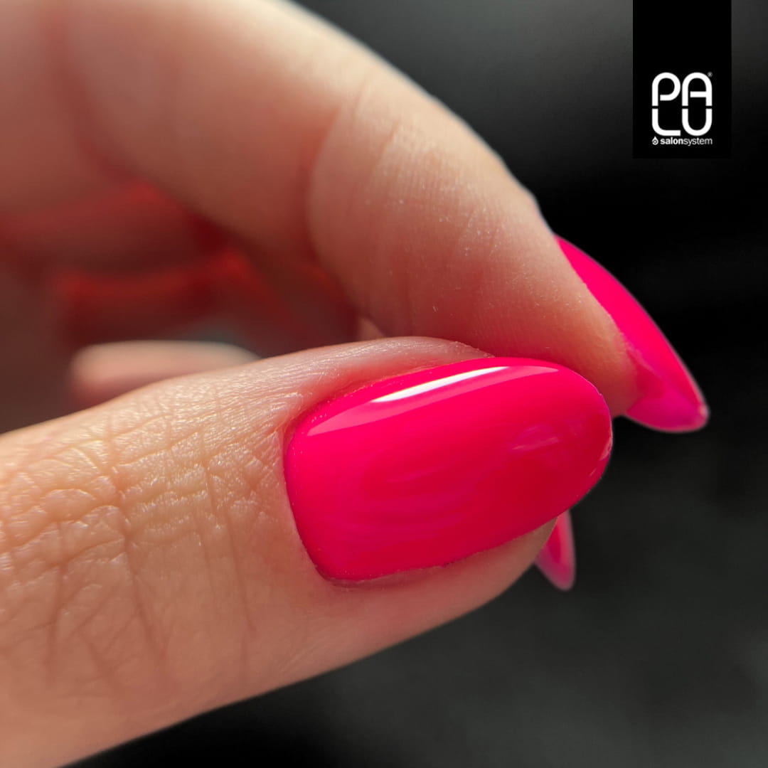 PALU Vernis Hybride warsaw P12 -11 g