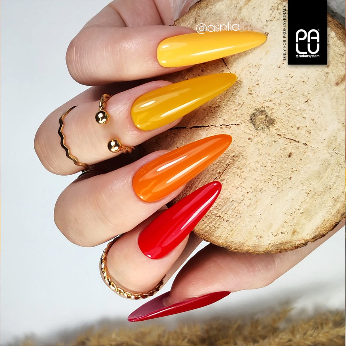 PALU - Vernis Hybride Amsterdam AM2 - 11g