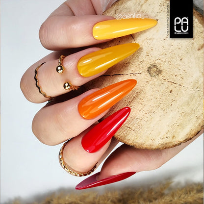 PALU - Vernis Hybride Amsterdam AM2 - 11g