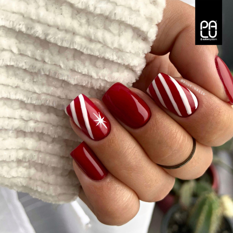 PALU - Vernis Hybride Amsterdam AM5 - 11g