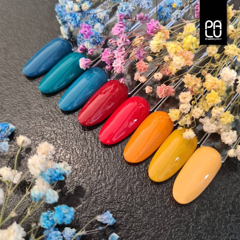 PALU - Vernis Hybride Amsterdam AM7 - 11g