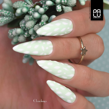 PALU - Vernis Hybride Miami MA6 - 11g