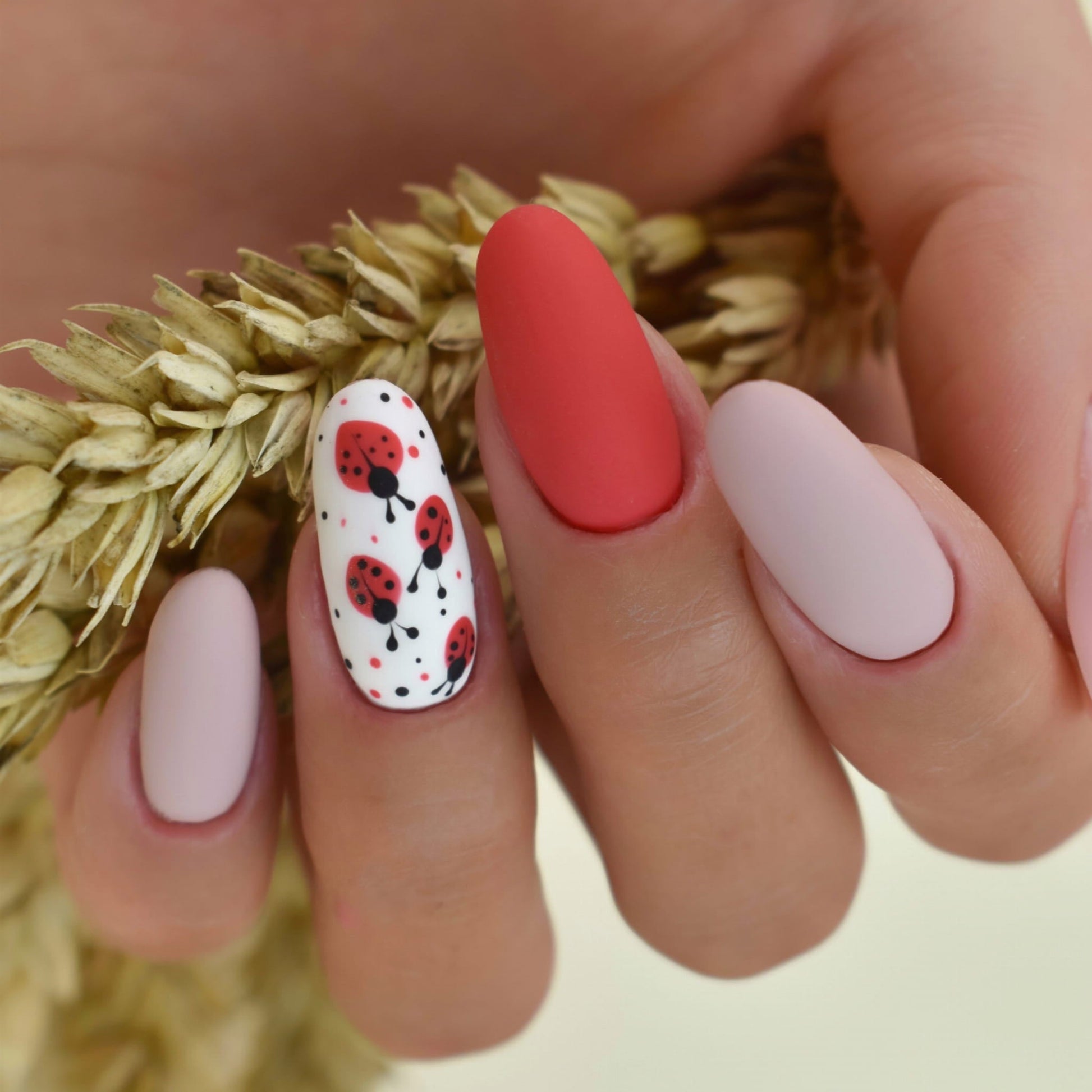 PALU Vernis Hybride Hollywood R1 -11 g