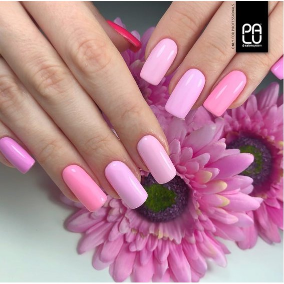 Vernis à ongles hybride PALU Sydney M4/11 g