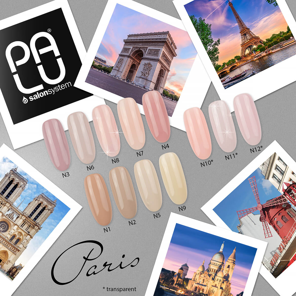 PALU Vernis Hybride paris N9 6 g